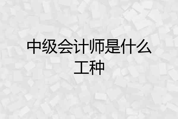 中级会计师是什么工种