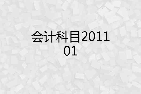 会计科目201101