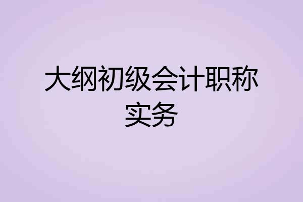 大纲初级会计职称实务