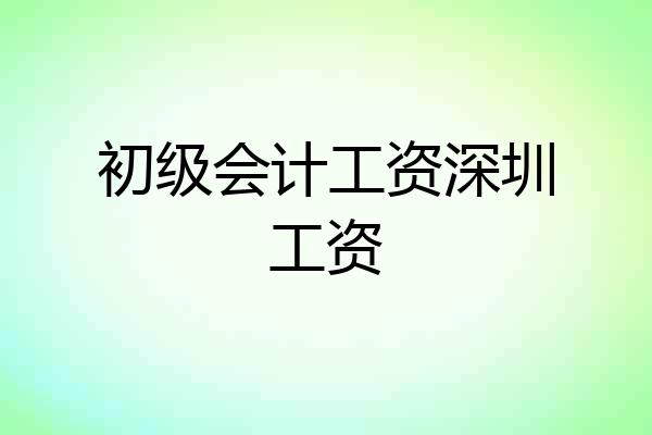 初级会计工资深圳工资