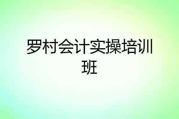 罗村会计实操培训班