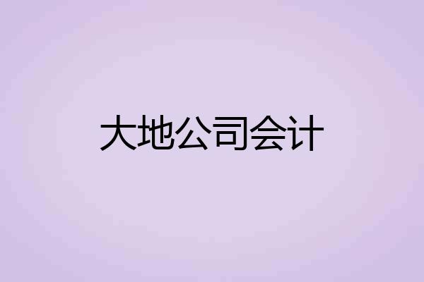 大地公司会计