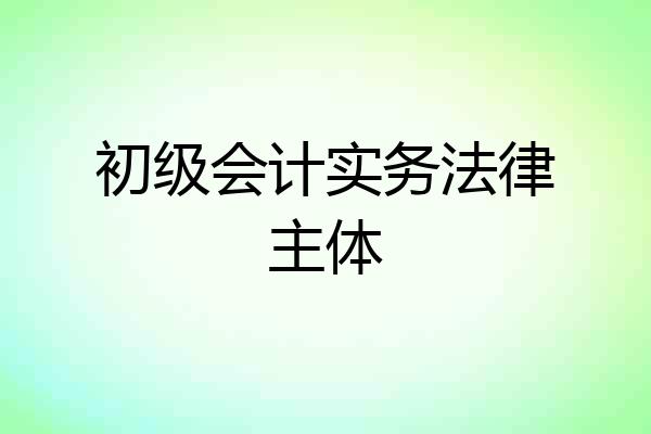 初级会计实务法律主体