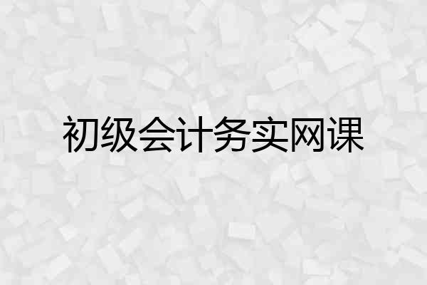初级会计务实网课