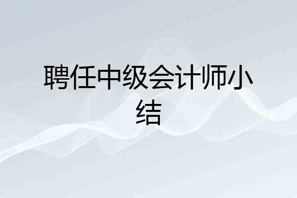 聘任中级会计师小结
