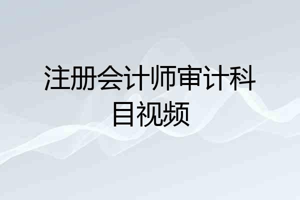 注册会计师审计科目视频