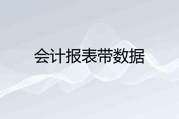 会计报表带数据