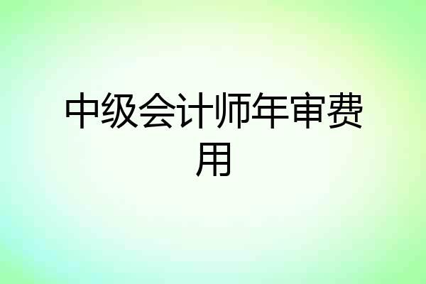 中级会计师年审费用