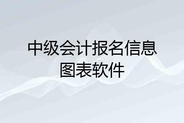 中级会计报名信息图表软件