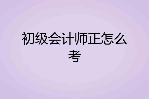 初级会计师正怎么考