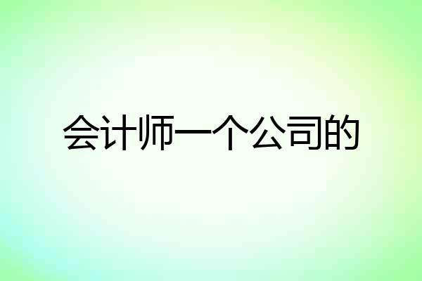 会计师一个公司的