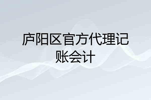 庐阳区官方代理记账会计