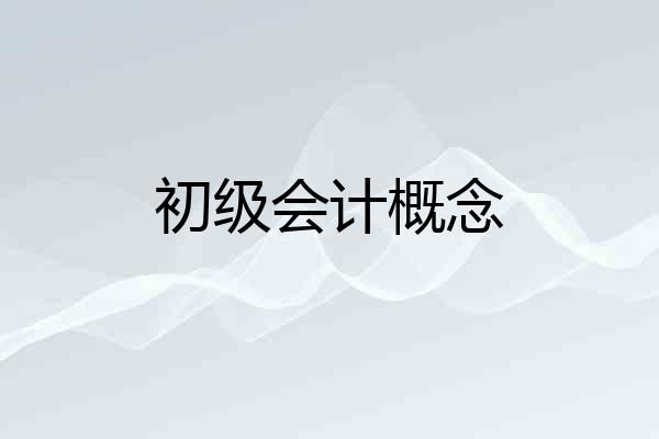 初级会计概念