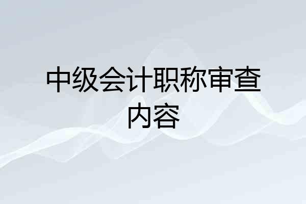中级会计职称审查内容