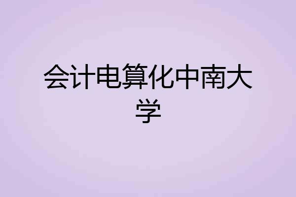 会计电算化中南大学