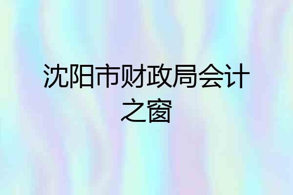 沈阳市财政局会计之窗