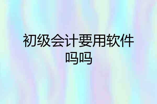 初级会计要用软件吗吗