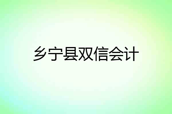 乡宁县双信会计