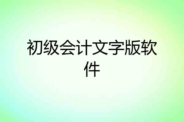 初级会计文字版软件