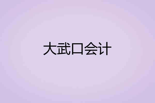 大武口会计
