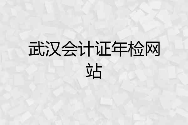 武汉会计证年检网站