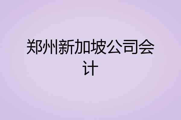 郑州新加坡公司会计