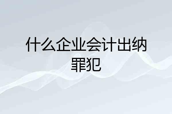 什么企业会计出纳罪犯