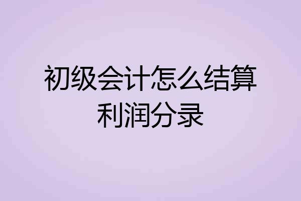 初级会计怎么结算利润分录