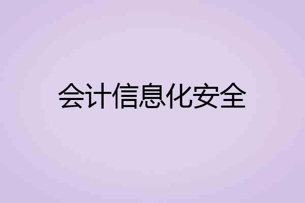 会计信息化安全