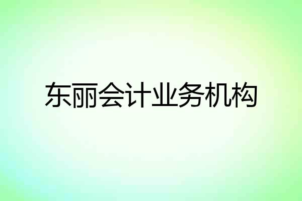 东丽会计业务机构