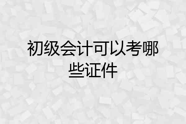 初级会计可以考哪些证件