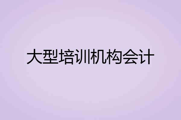 大型培训机构会计