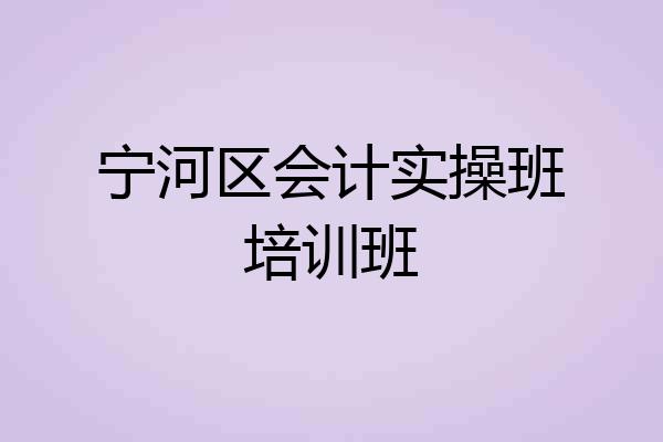 宁河区会计实操班培训班