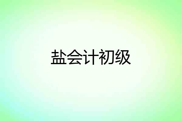 盐会计初级