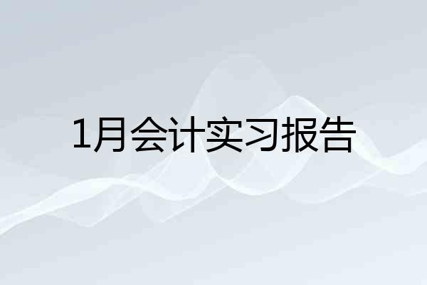 1月会计实习报告