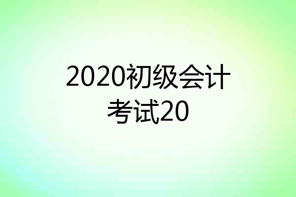2020初级会计考试20