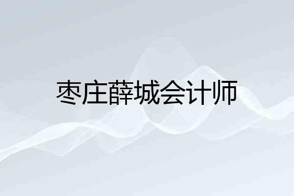 枣庄薛城会计师