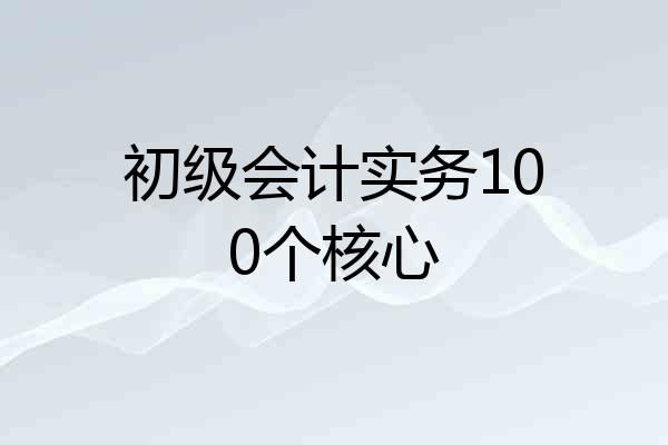 初级会计实务100个核心