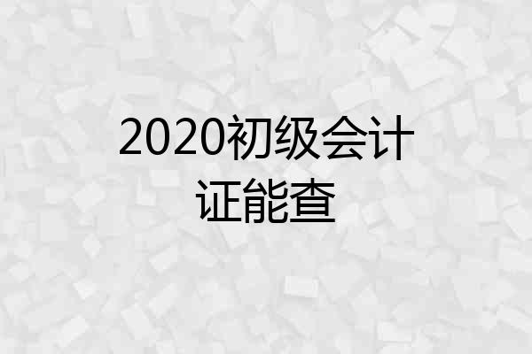 2020初级会计证能查