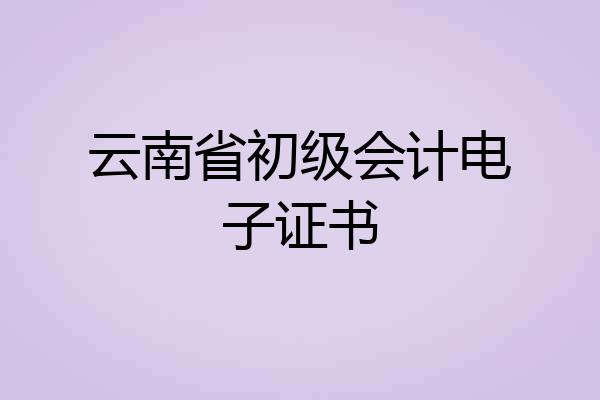 云南省初级会计电子证书