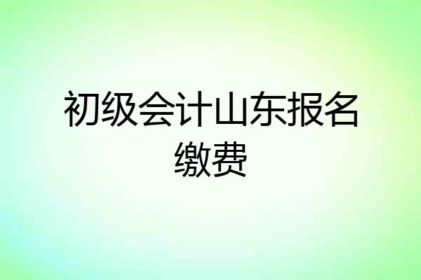 初级会计山东报名缴费