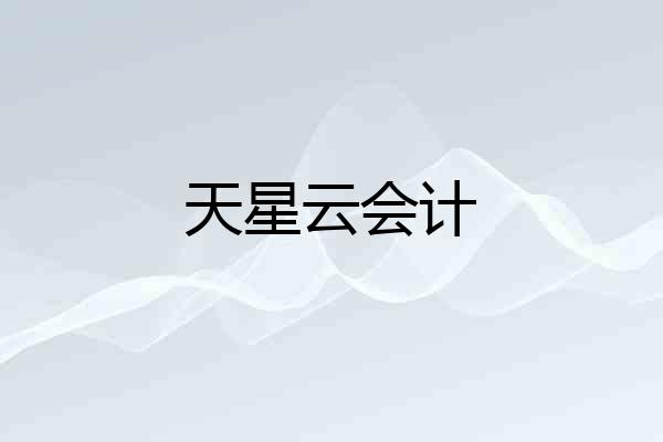 天星云会计
