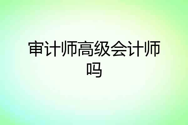 审计师高级会计师吗
