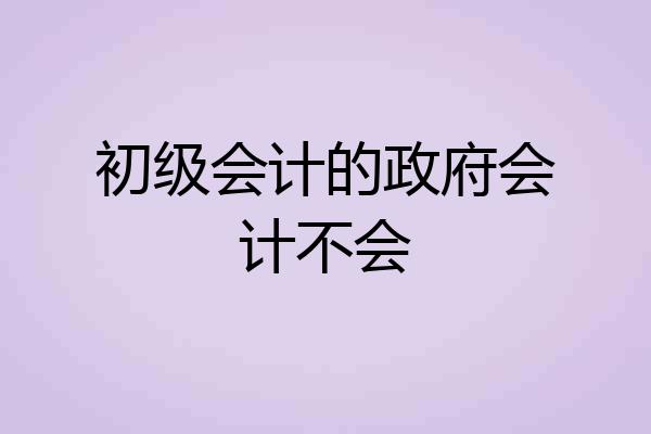 初级会计的政府会计不会