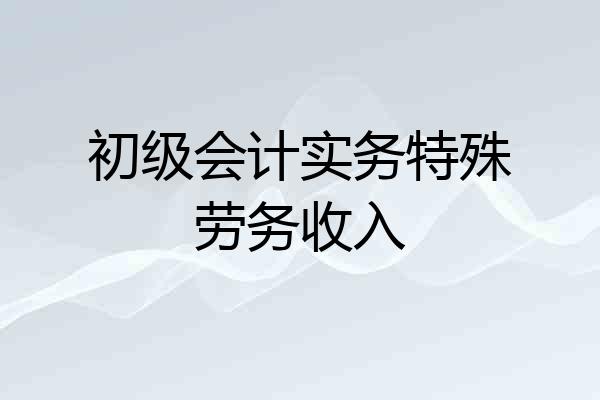 初级会计实务特殊劳务收入
