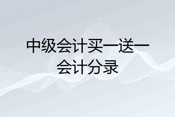 中级会计买一送一会计分录