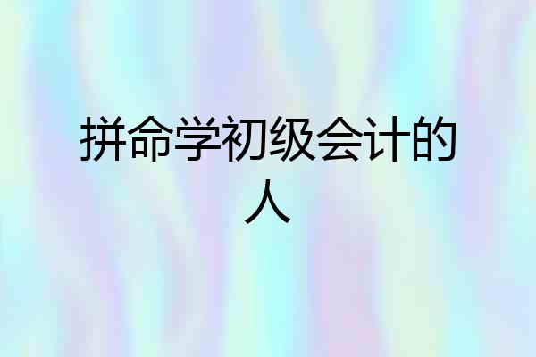 拼命学初级会计的人