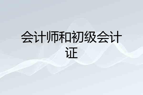 会计师和初级会计证