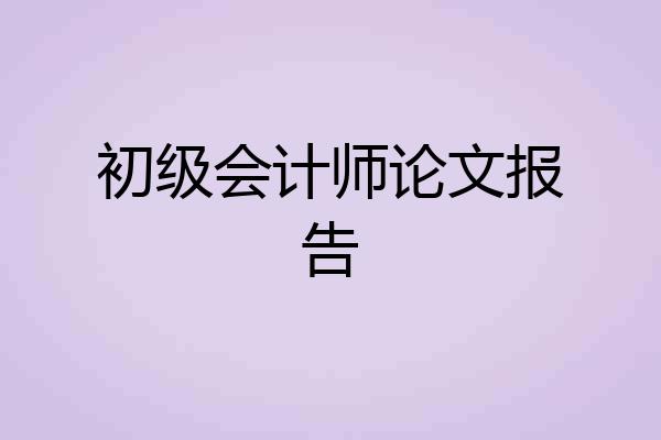 初级会计师论文报告