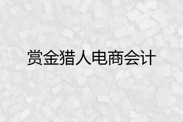 赏金猎人电商会计